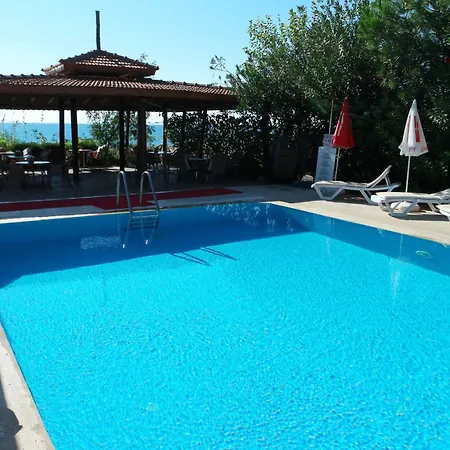 Safak Kizilot